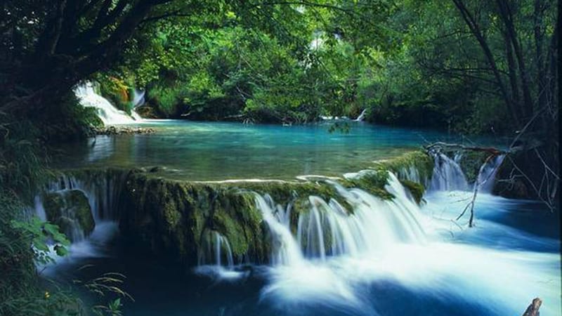 bach-ma-national-park-private-car bach-ma-national-park-private-car