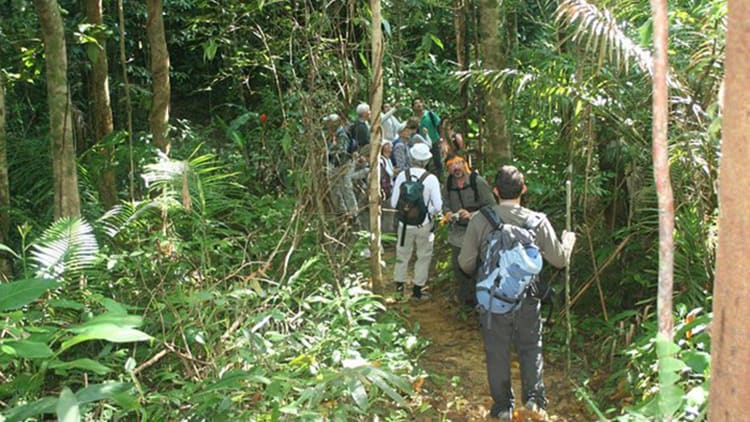 monkey-mountain-privatecar